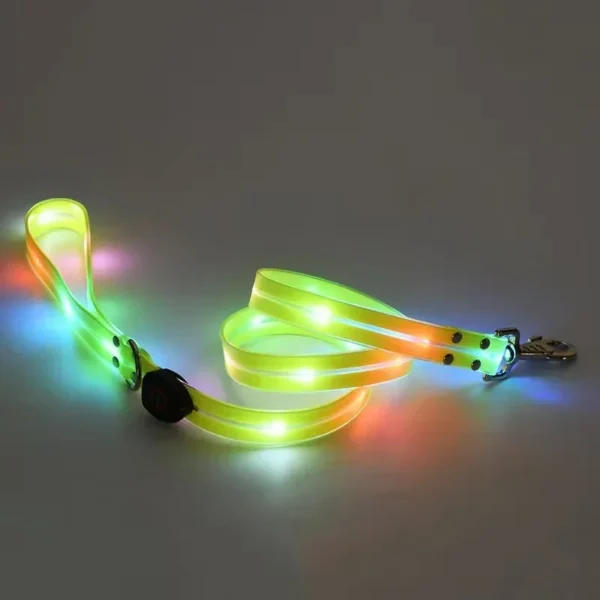 Glow In The Dark Dog Leash