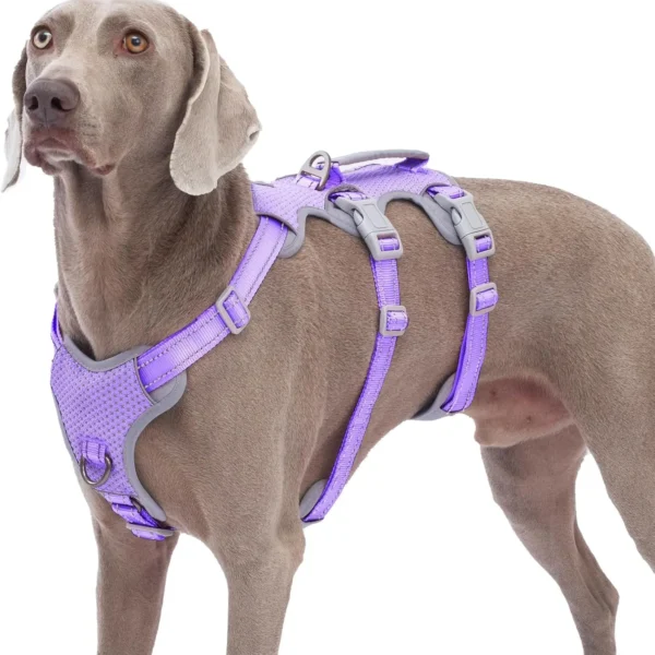 Escape-Proof, No-Pull Dog Harness, Reflective with Lift Handle, Adjustable for Large Dogs